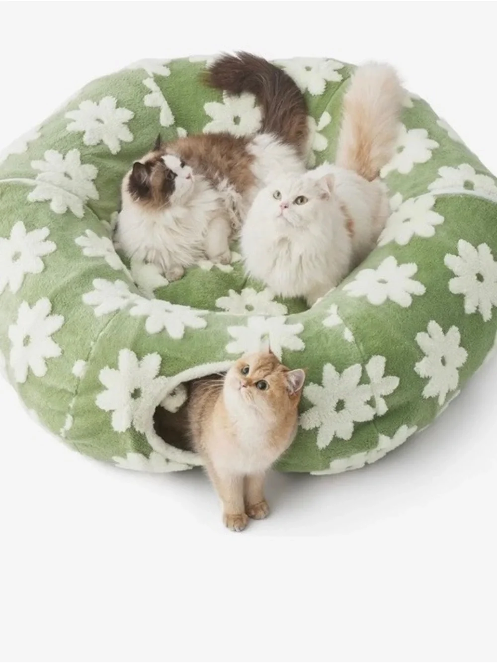 BEDSURE Plush Green Daisy Cat Tunnel & Bed 💚🍃❗️🐈